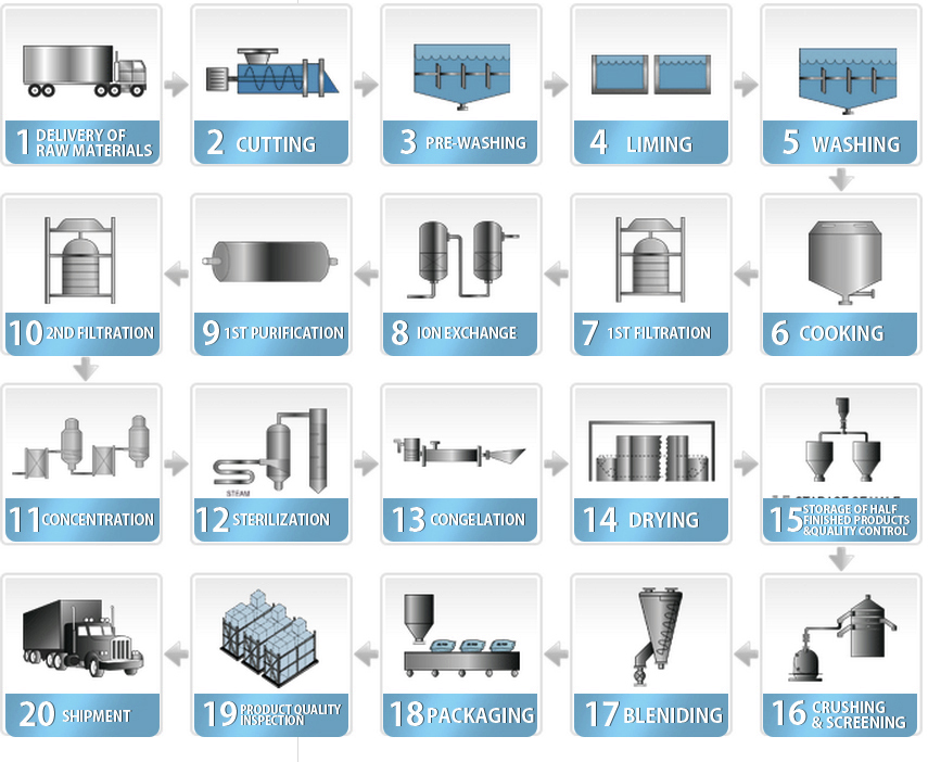 Gelatin Manufacturing Process