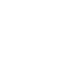 V Capsule